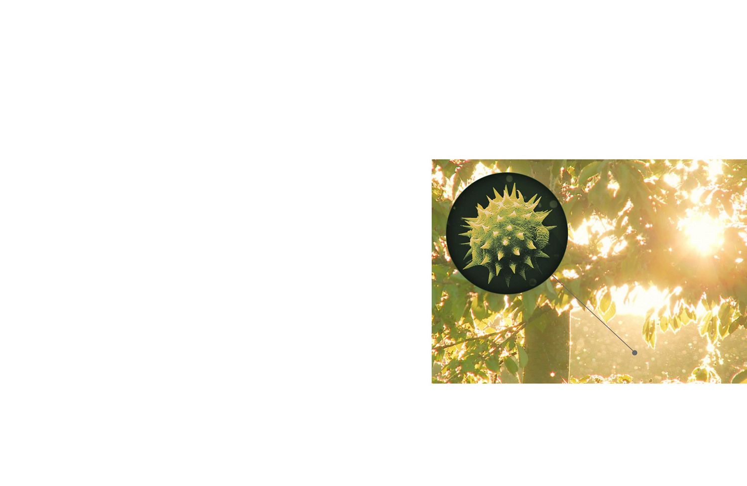 Un purificateur d'air et un aspirateur sans fil